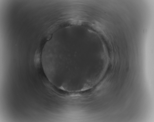 X0000089761154200707051828