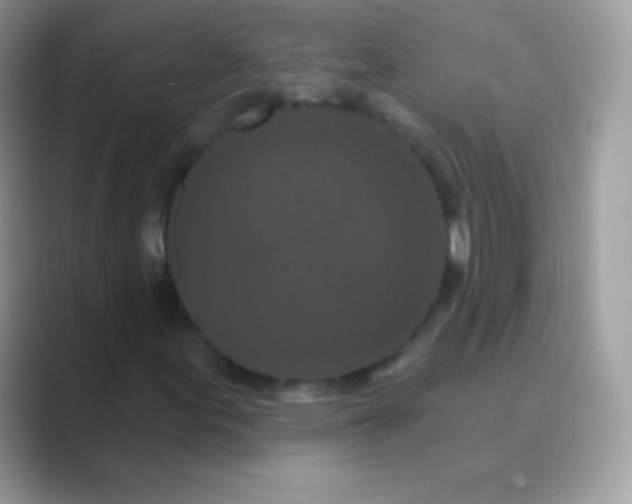 X0000089761155200707051828