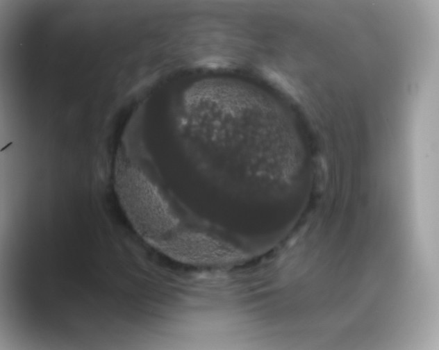 X0000089761158200707051828