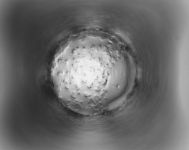 X0000089761159200707051828