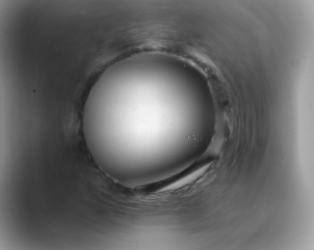 X0000089761160200707051828