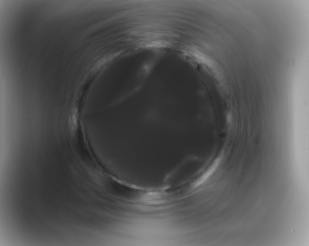 X0000089761161200707051828