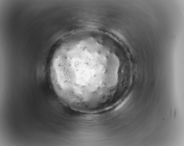 X0000089761163200707051828