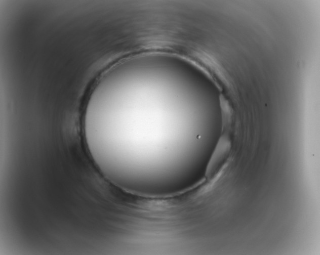 X0000089761164200707051828