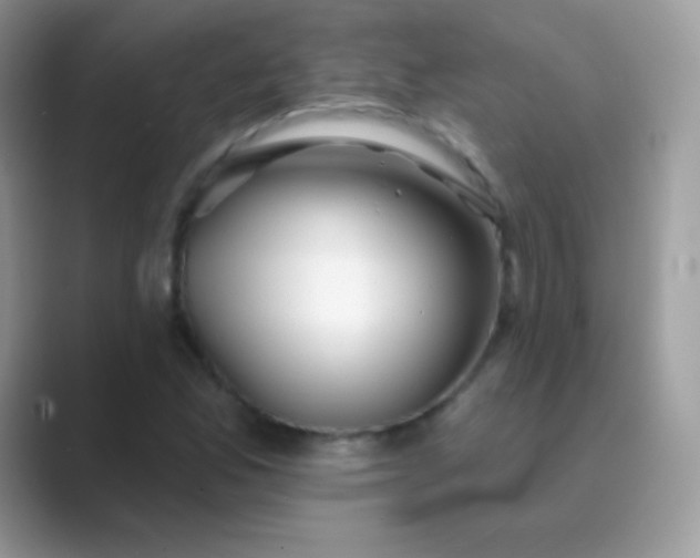 X0000089761165200707051828