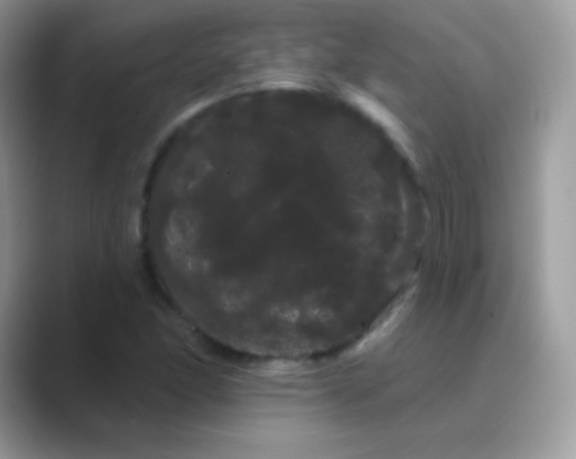 X0000089761166200707051828