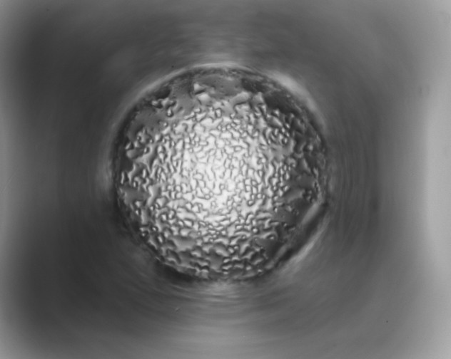 X0000089761167200707051828