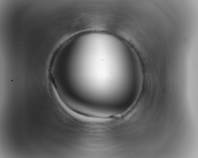 X0000089761168200707051828