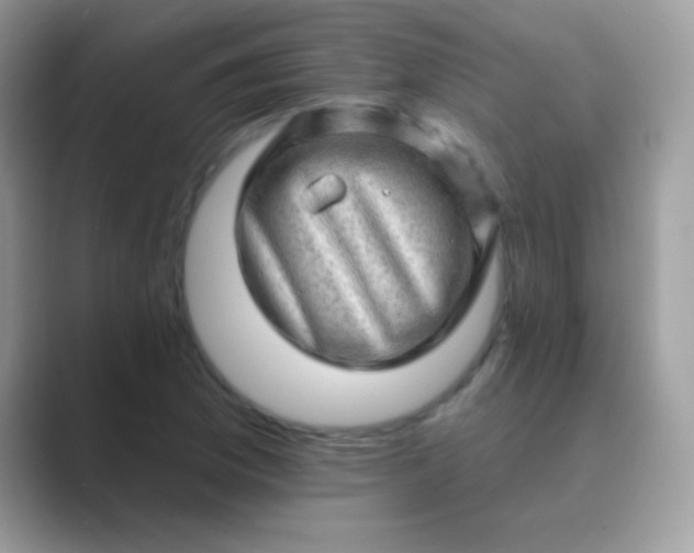 X0000089761169200707051828