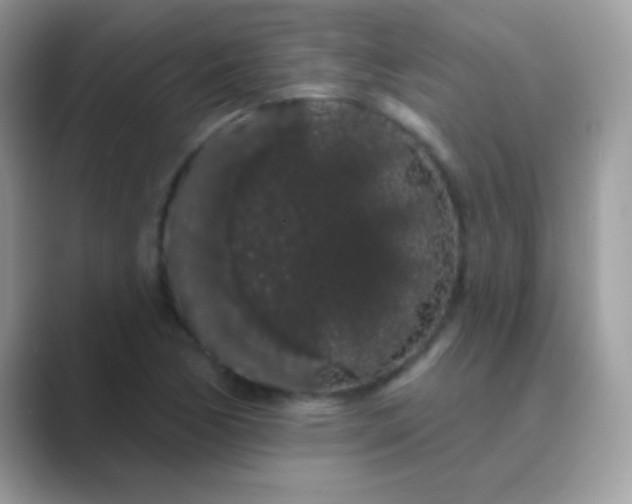 X0000089761170200707051828