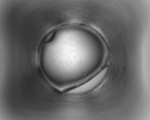 X0000089761171200707051828