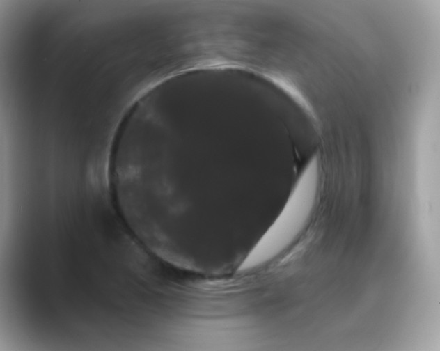 X0000089761173200707051828