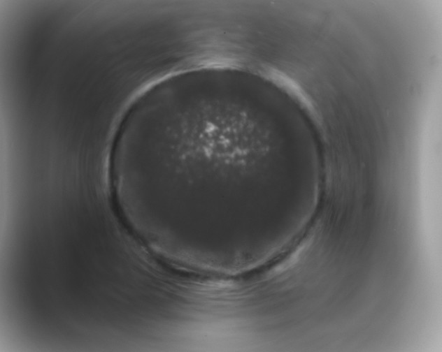 X0000089761174200707051828