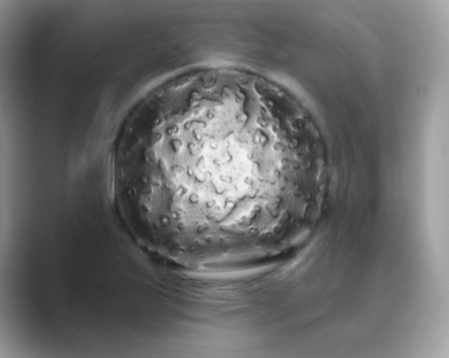 X0000089761175200707051828