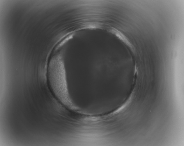 X0000089761178200707051828