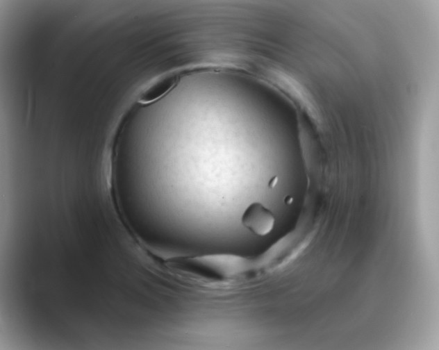 X0000089761180200707051828