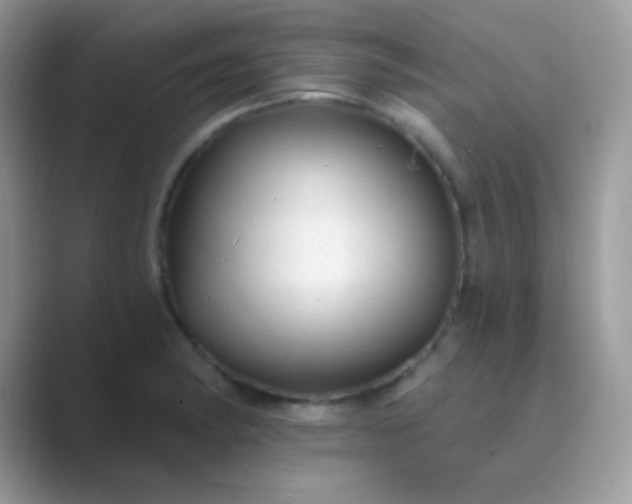 X0000089761182200707051828