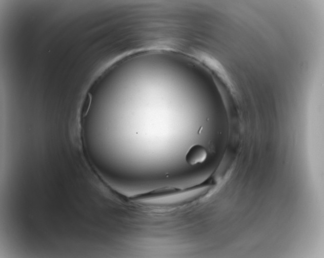 X0000089761184200707051828