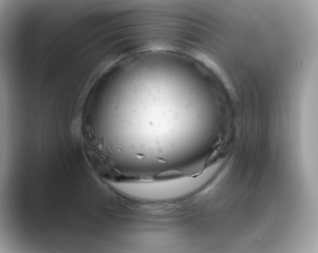 X0000089761185200707051828