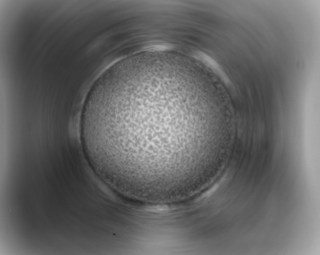 X0000089761186200707051828