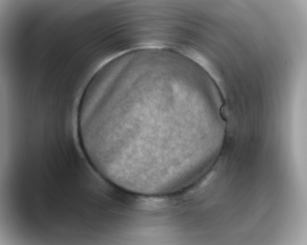 X0000089761187200707051828