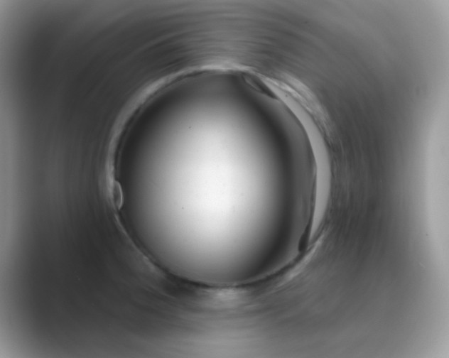 X0000089761188200707051828