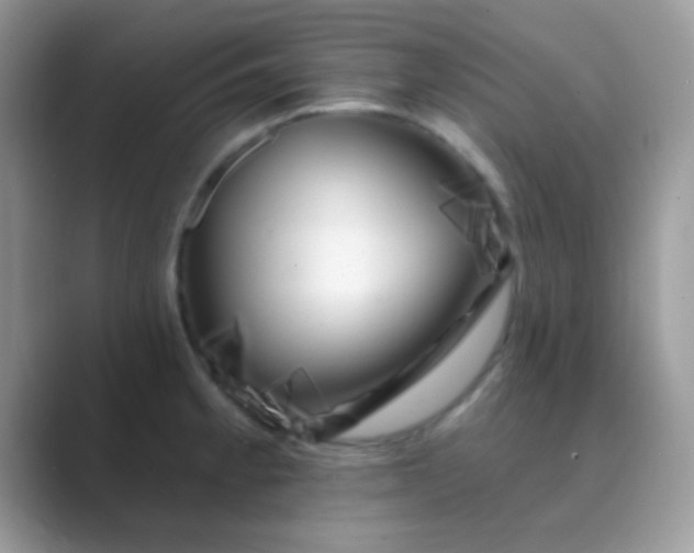 X0000089761189200707051828