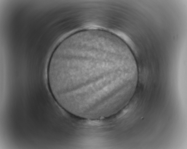 X0000089761191200707051828