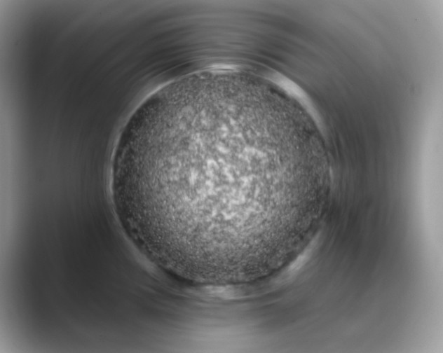 X0000089761194200707051827