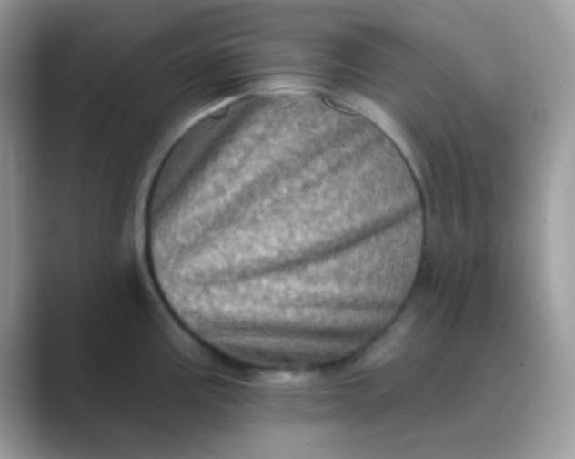 X0000089761195200707051827