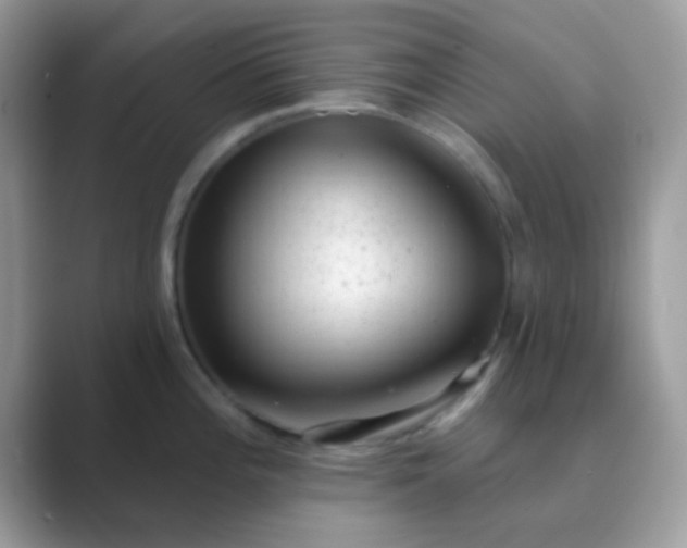 X0000089761196200707051827