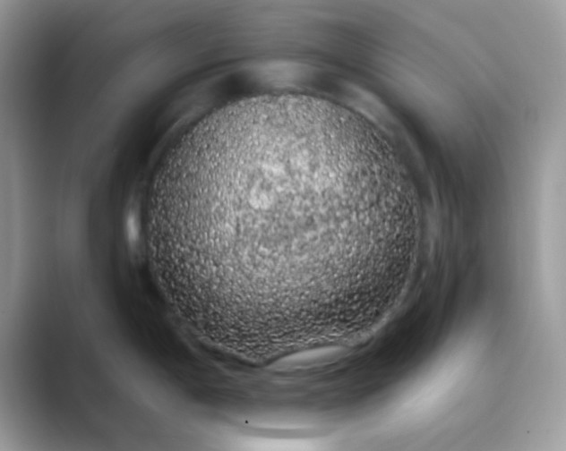 X0000089761198200707051827