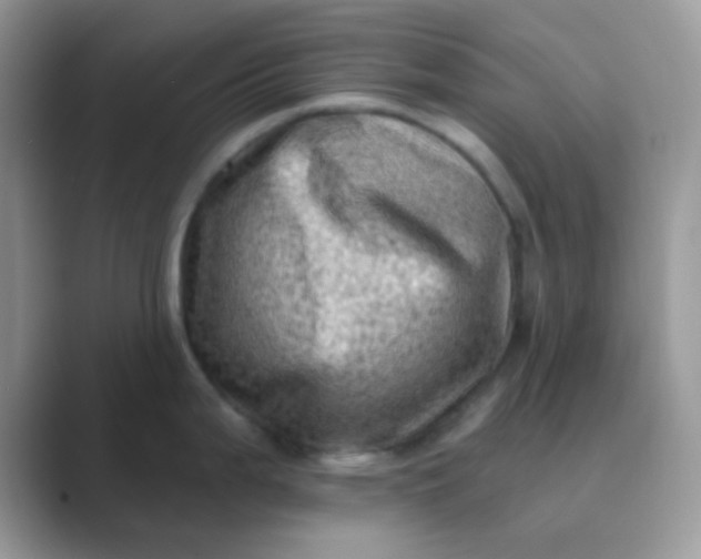 X0000089761199200707051827