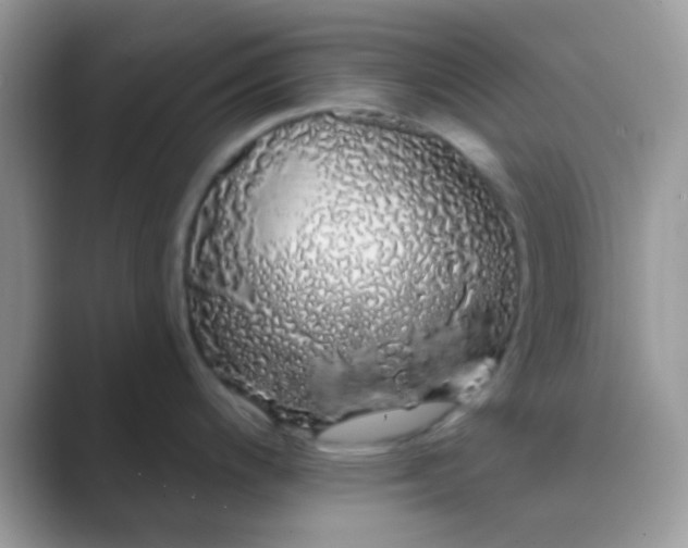 X0000089761200200707051827