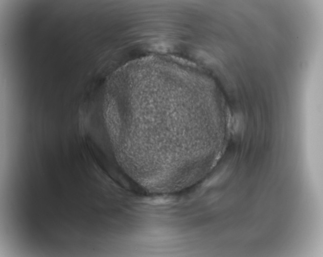 X0000089761202200707051827