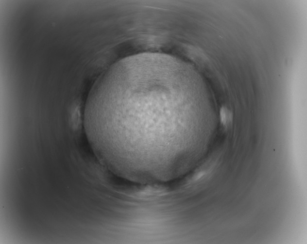 X0000089761203200707051827