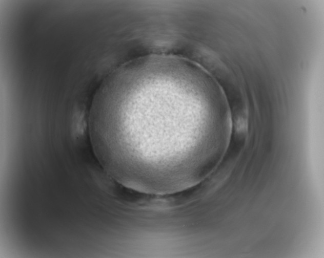 X0000089761204200707051827