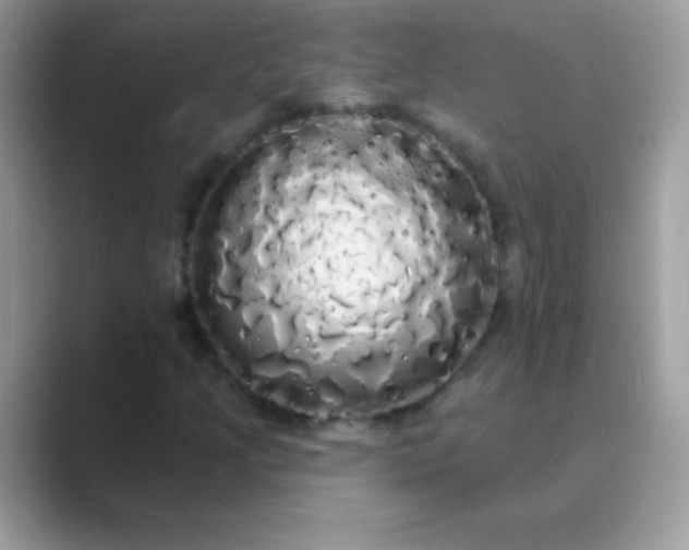 X0000089761205200707051827