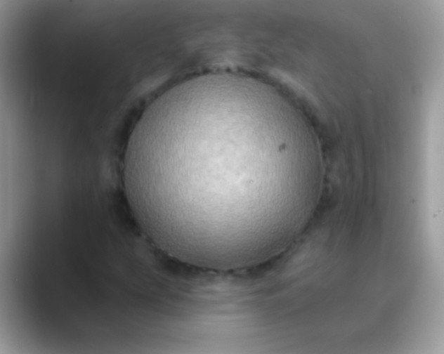 X0000089761207200707051827