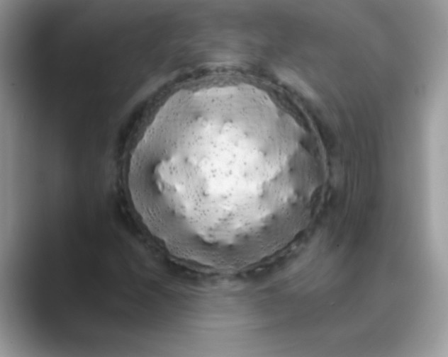 X0000089761208200707051827