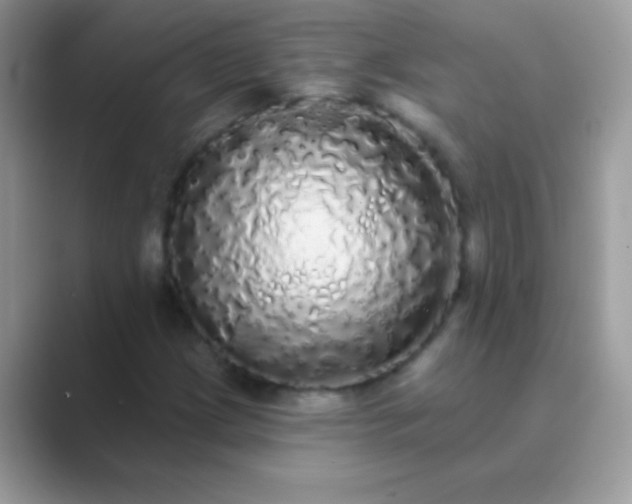 X0000089761209200707051827