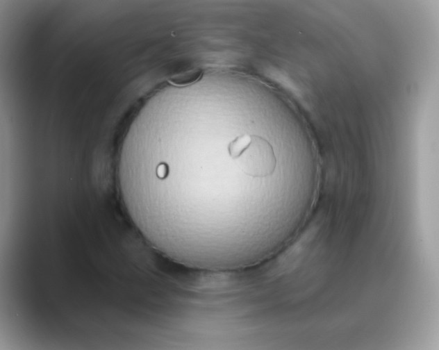 X0000089761211200707051827