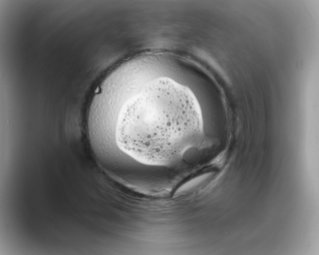 X0000089761213200707051827