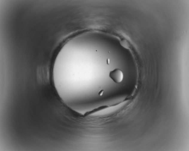 X0000089761214200707051827