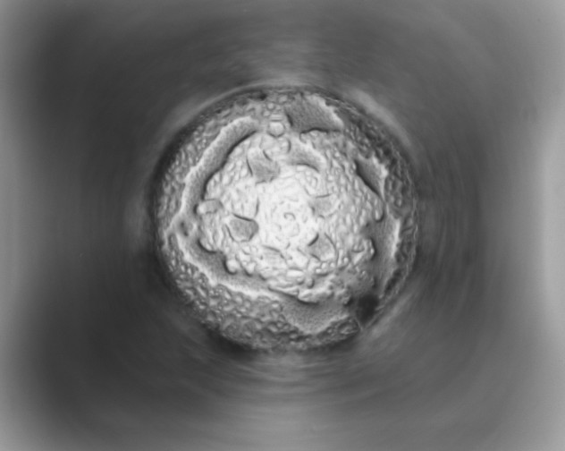 X0000089761215200707051827