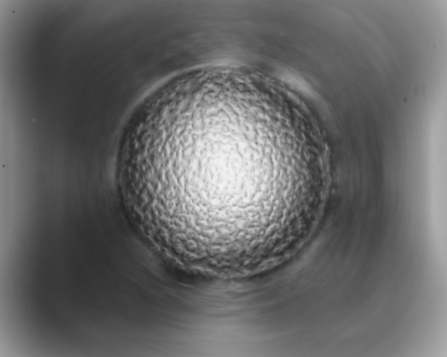 X0000089761216200707051827