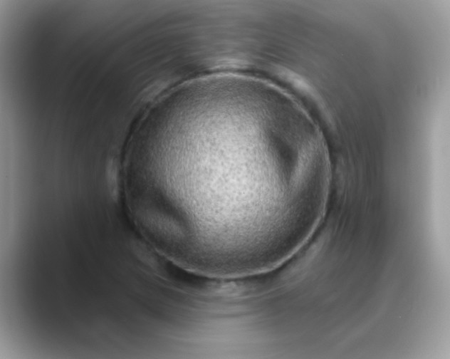 X0000089761217200707051827