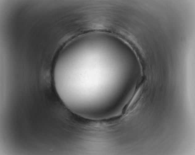 X0000089761218200707051827