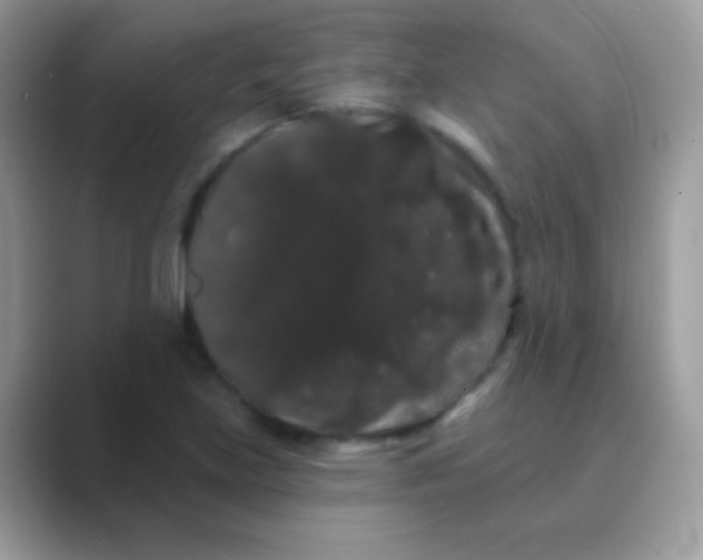 X0000089761219200707051827