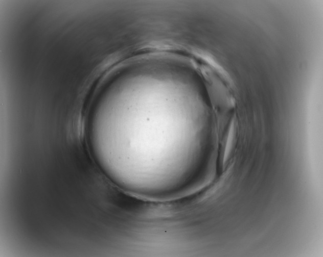 X0000089761221200707051827